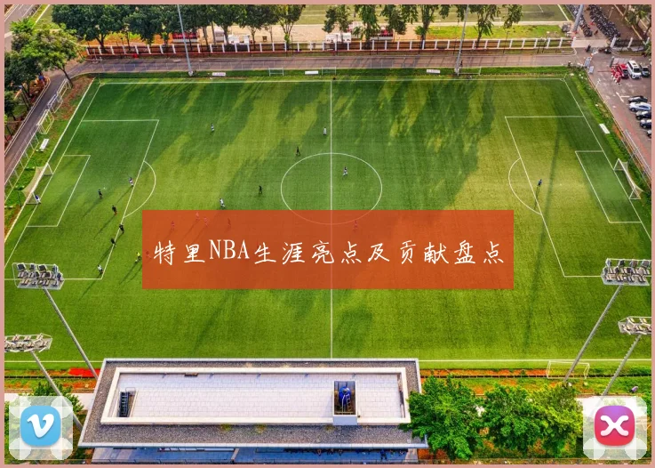 特里NBA生涯亮点及贡献盘点