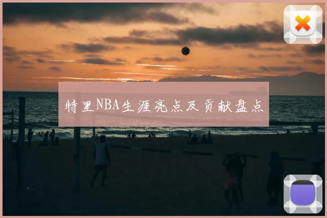 特里NBA生涯亮点及贡献盘点